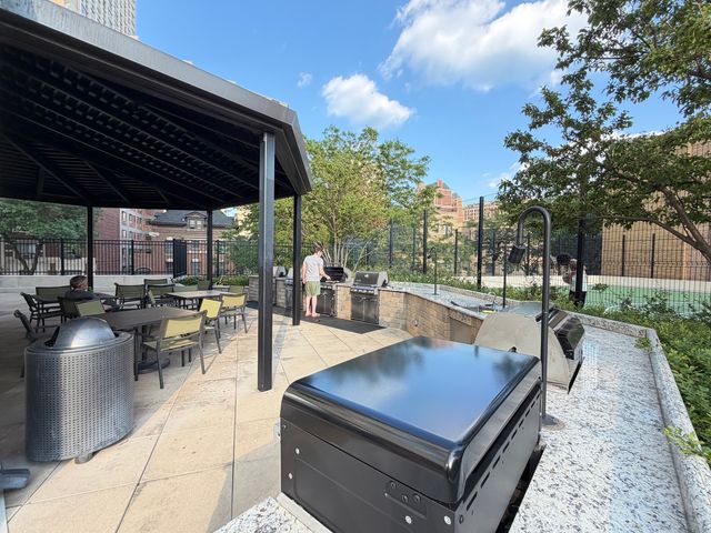 3930 N Pine Grove Avenue 1708, Chicago, IL 60613