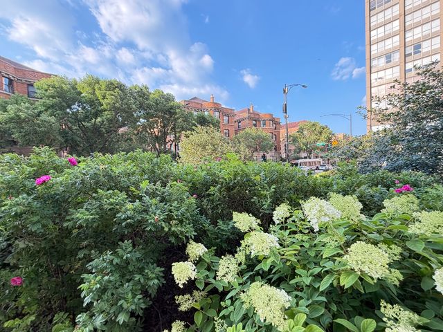 3930 N Pine Grove Avenue 1708, Chicago, IL 60613