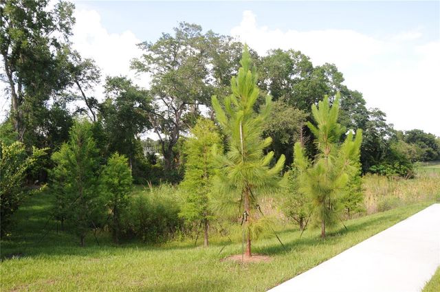 4341 CAMBIO GARDENS COURT, Tampa, FL 33610