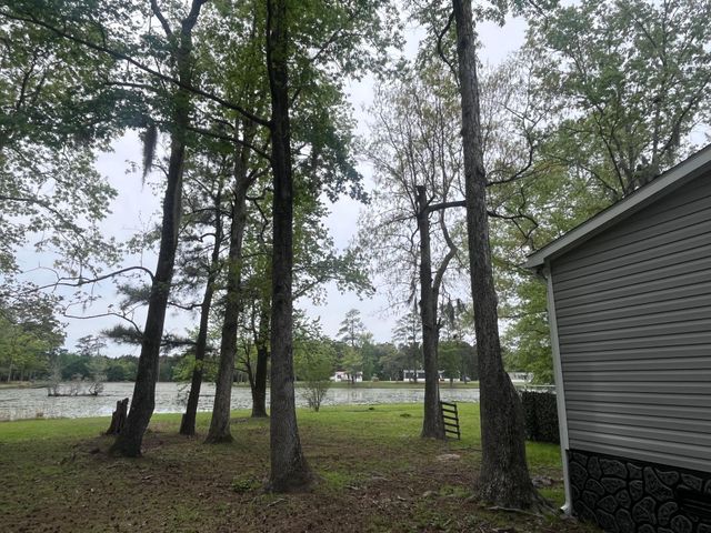 233 Williamson Lake Circle, Conway, SC 29526