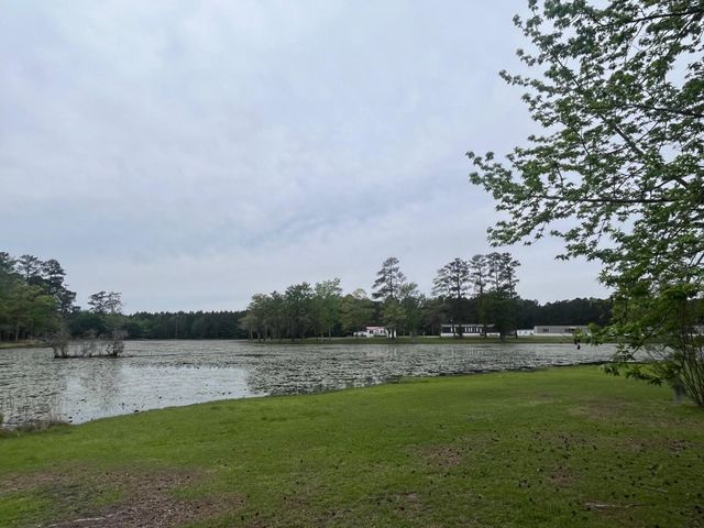 233 Williamson Lake Circle, Conway, SC 29526