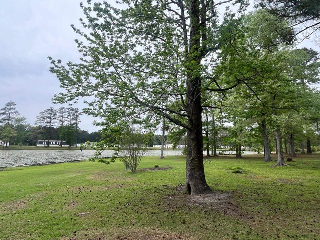 233 Williamson Lake Circle, Conway, SC 29526