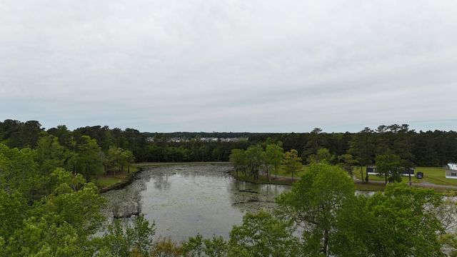 233 Williamson Lake Circle, Conway, SC 29526