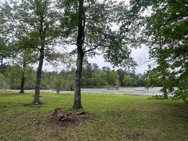 233 Williamson Lake Circle, Conway, SC 29526