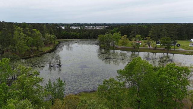 233 Williamson Lake Circle, Conway, SC 29526