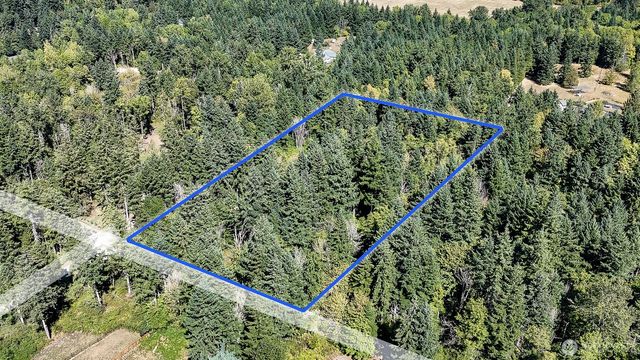16138 Chuckawa Lane SE, Yelm, WA 98597