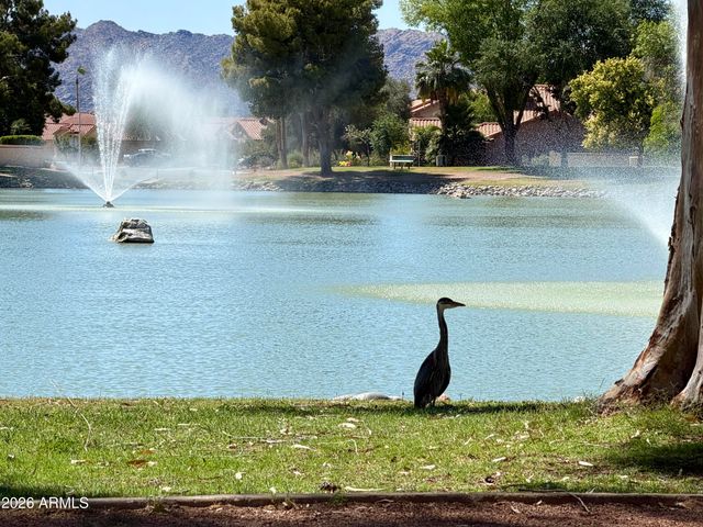 5131 W LAREDO Court, Chandler, AZ 85226