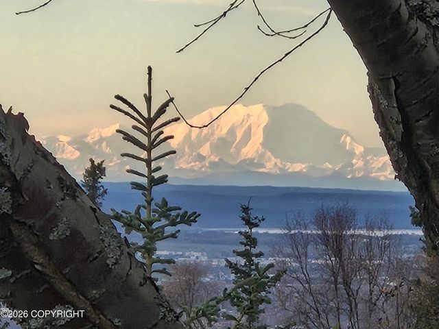 12201 Graiff Street, Anchorage, AK 99507