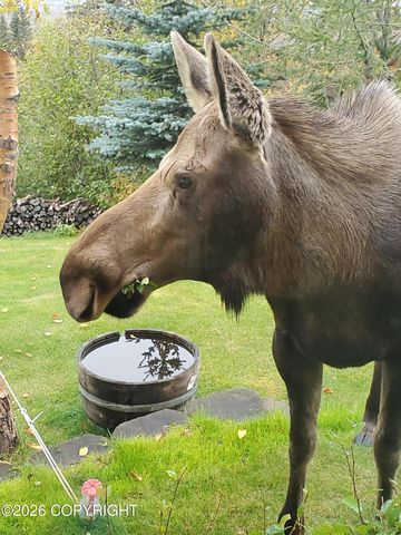 12201 Graiff Street, Anchorage, AK 99507