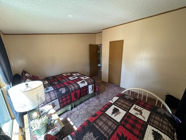 3050 CHEVELON Road, Overgaard, AZ 85933