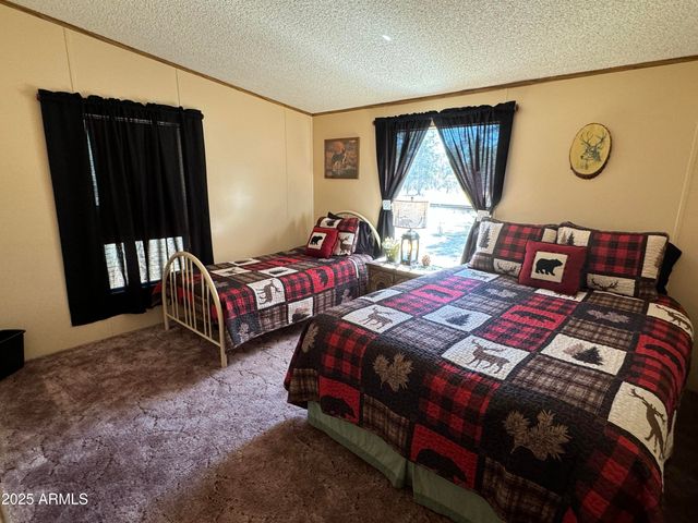 3050 CHEVELON Road, Overgaard, AZ 85933