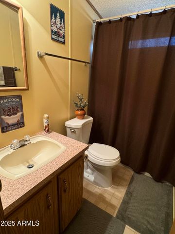 3050 CHEVELON Road, Overgaard, AZ 85933