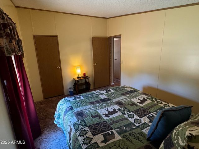 3050 CHEVELON Road, Overgaard, AZ 85933