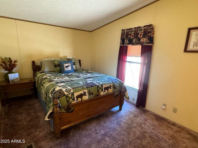 3050 CHEVELON Road, Overgaard, AZ 85933