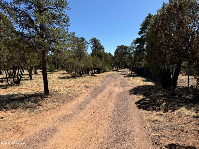 3050 CHEVELON Road, Overgaard, AZ 85933