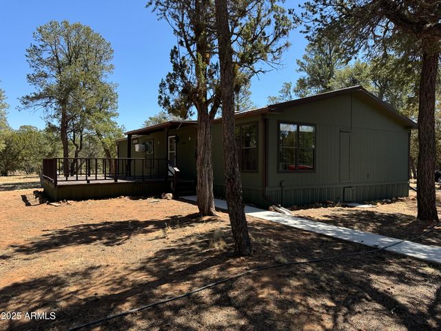 3050 CHEVELON Road, Overgaard, AZ 85933