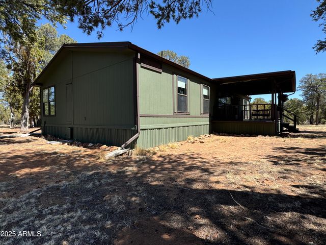3050 CHEVELON Road, Overgaard, AZ 85933