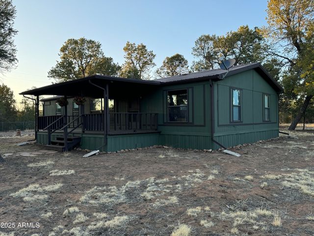 3050 CHEVELON Road, Overgaard, AZ 85933