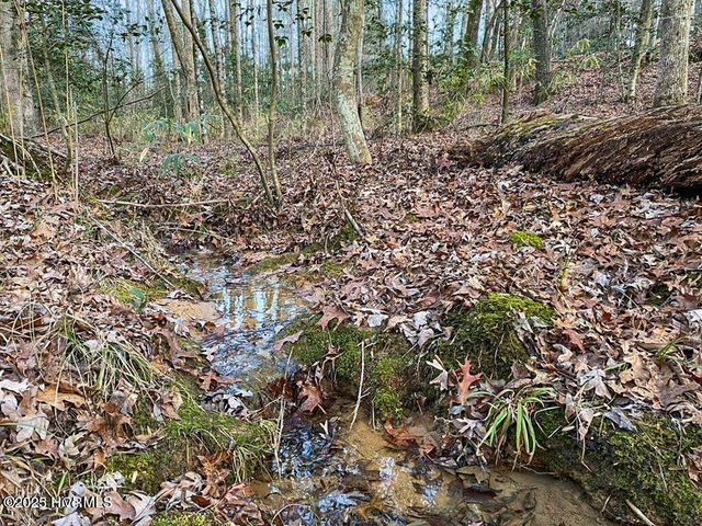 23 Equestrian Lane, Carthage, NC 28327