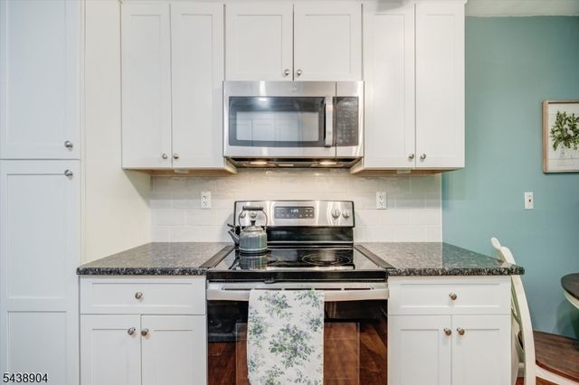 64 Troy Dr, Springfield Twp., NJ 07081