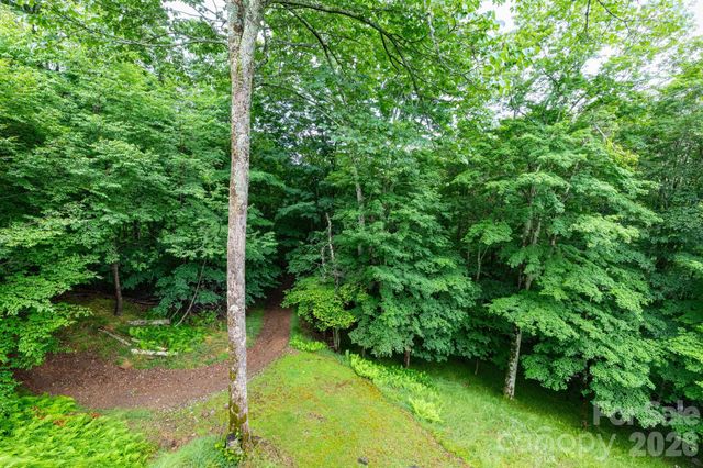 155 Mule Trail Drive, Bakersville, NC 28705