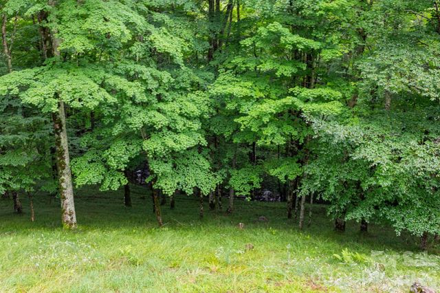 155 Mule Trail Drive, Bakersville, NC 28705