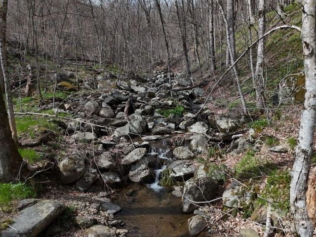 155 Mule Trail Drive, Bakersville, NC 28705