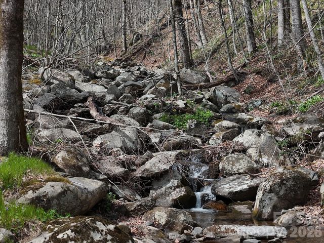 155 Mule Trail Drive, Bakersville, NC 28705