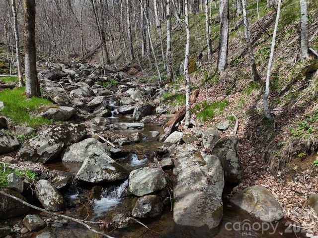 155 Mule Trail Drive, Bakersville, NC 28705