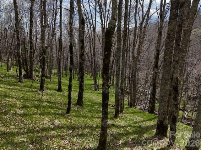 155 Mule Trail Drive, Bakersville, NC 28705