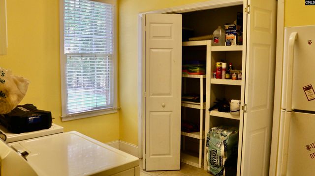 319 Sienna Drive, Chapin, SC 29036