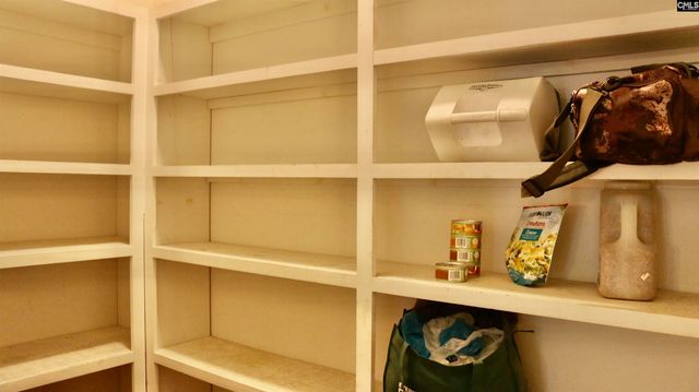 319 Sienna Drive, Chapin, SC 29036