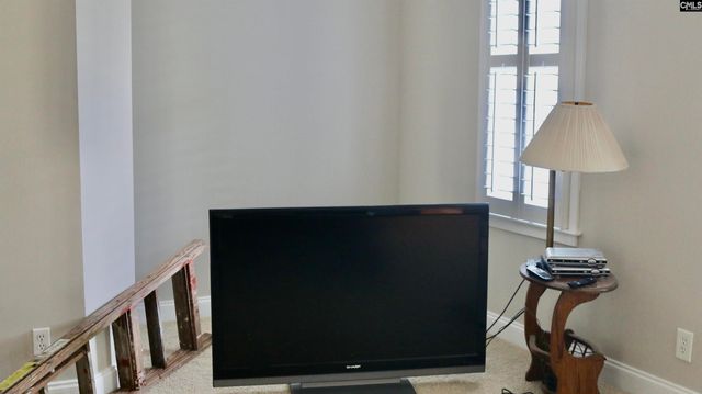 319 Sienna Drive, Chapin, SC 29036