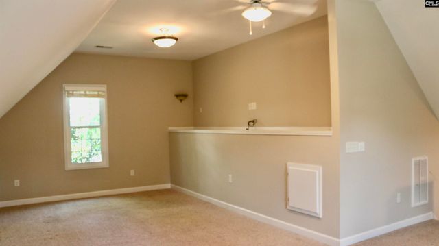 319 Sienna Drive, Chapin, SC 29036