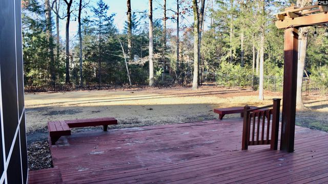 319 Sienna Drive, Chapin, SC 29036