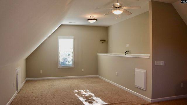 319 Sienna Drive, Chapin, SC 29036