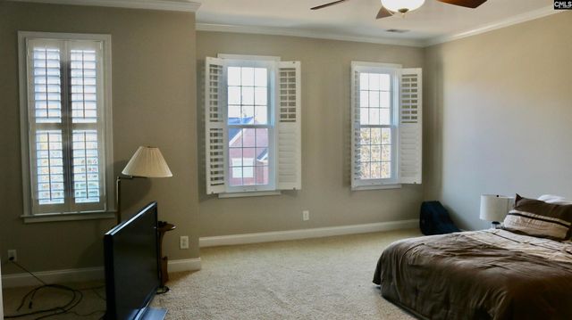 319 Sienna Drive, Chapin, SC 29036