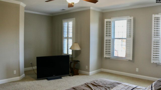 319 Sienna Drive, Chapin, SC 29036