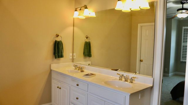 319 Sienna Drive, Chapin, SC 29036