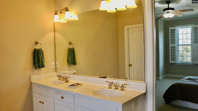 319 Sienna Drive, Chapin, SC 29036