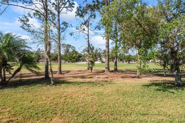 10517 PALM COVE AVENUE, Tampa, FL 33647