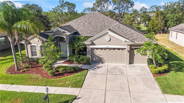10517 PALM COVE AVENUE, Tampa, FL 33647