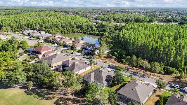 10517 PALM COVE AVENUE, Tampa, FL 33647