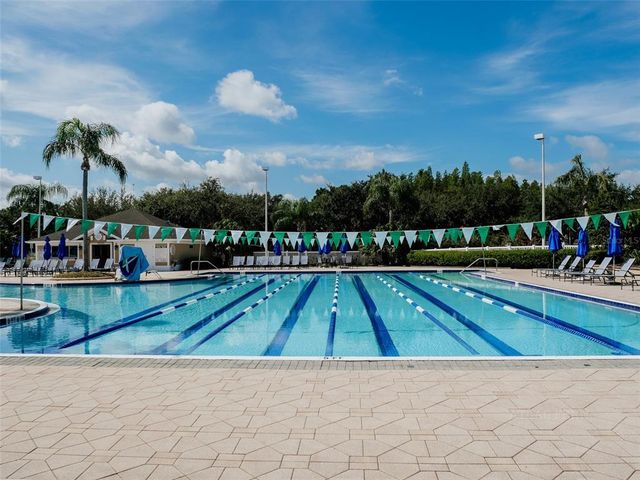 10517 PALM COVE AVENUE, Tampa, FL 33647