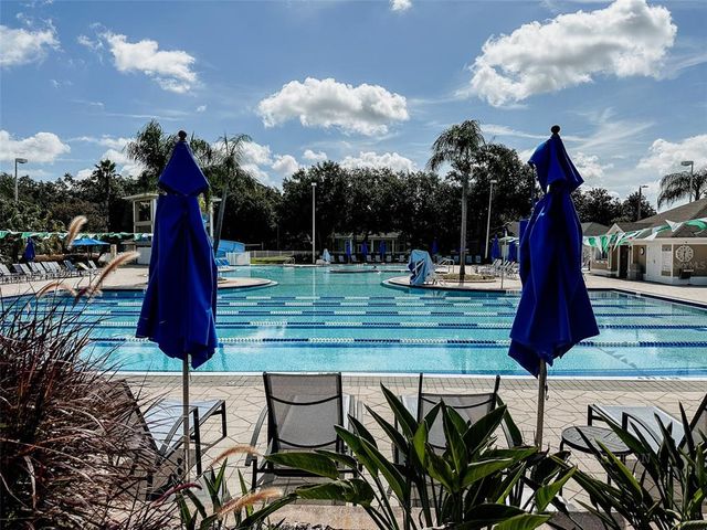 10517 PALM COVE AVENUE, Tampa, FL 33647
