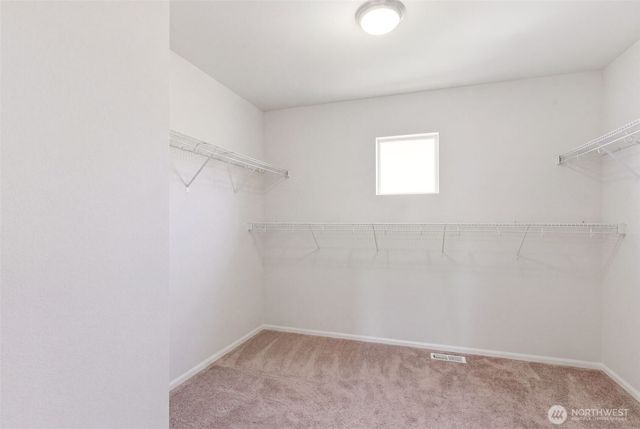 9219 Conine St SE, Yelm, WA 98597