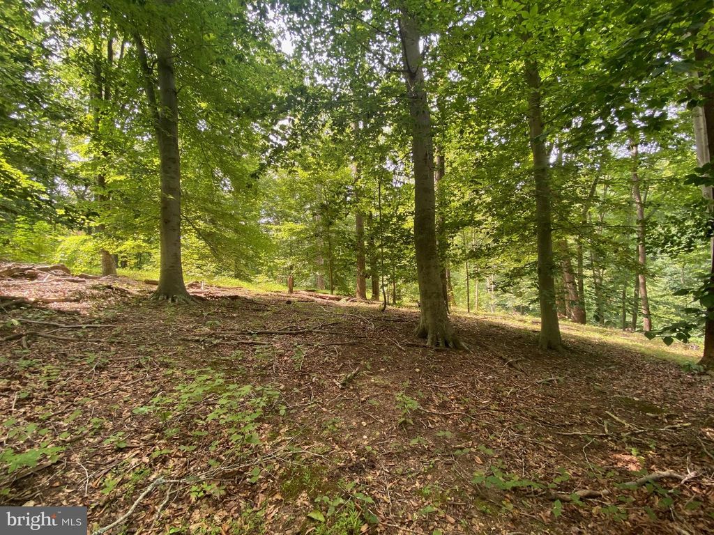 504 HOLLY RD, Fort Washington, MD 20744
