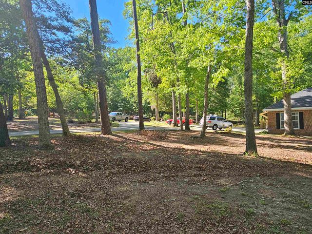 532 Rose Sharon Drive, Lexington, SC 29072