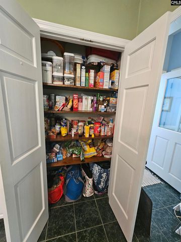 532 Rose Sharon Drive, Lexington, SC 29072