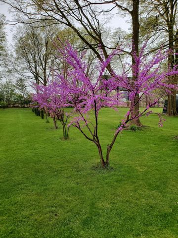 130 South Street, Schoolcraft, MI 49087